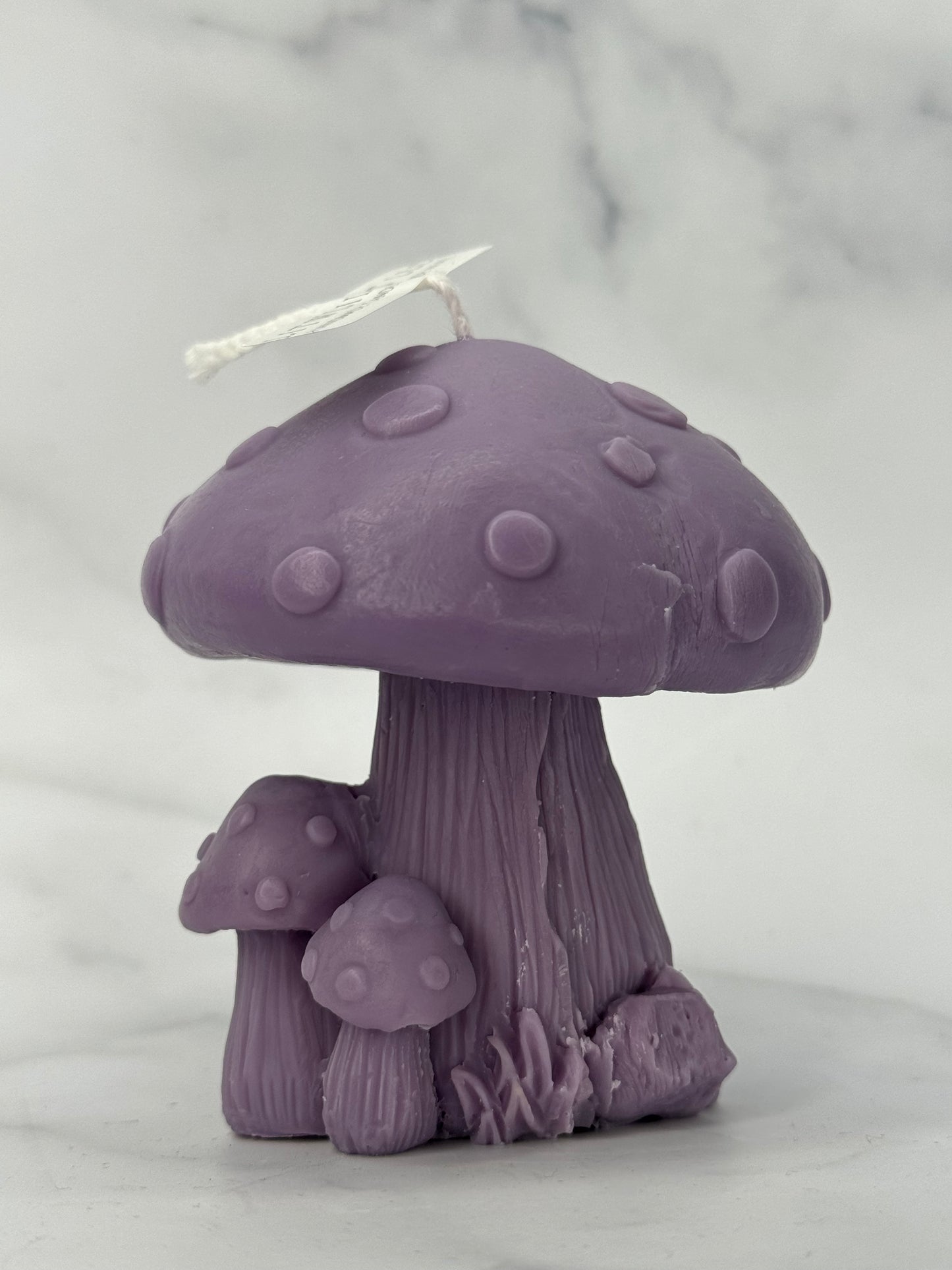 Mushroom cluster candle