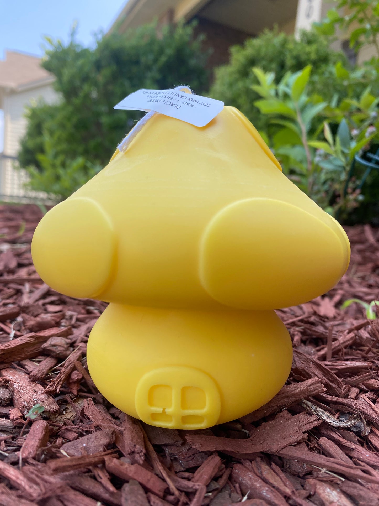 Mushroom House Candle