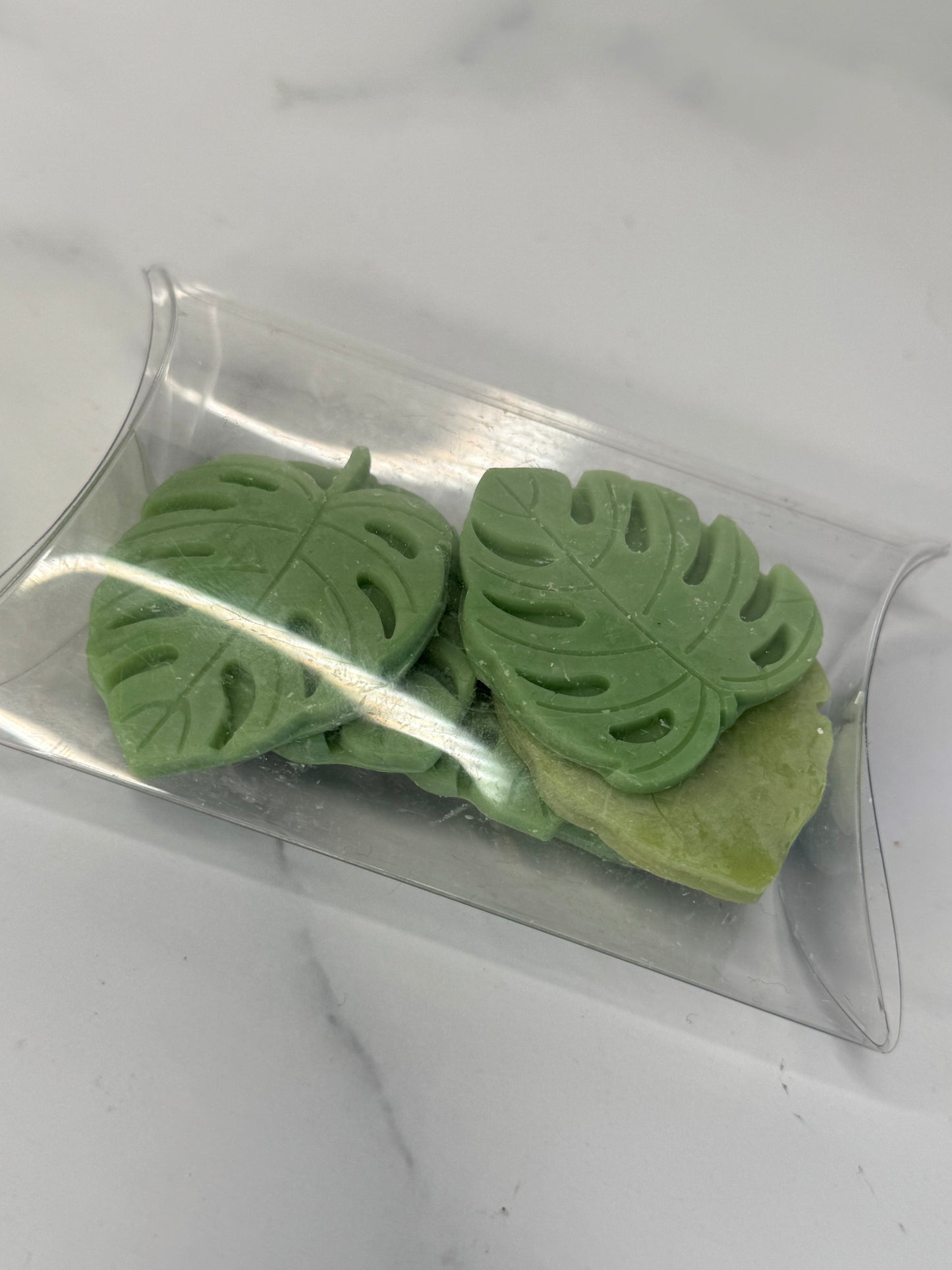 Monstera Wax melt