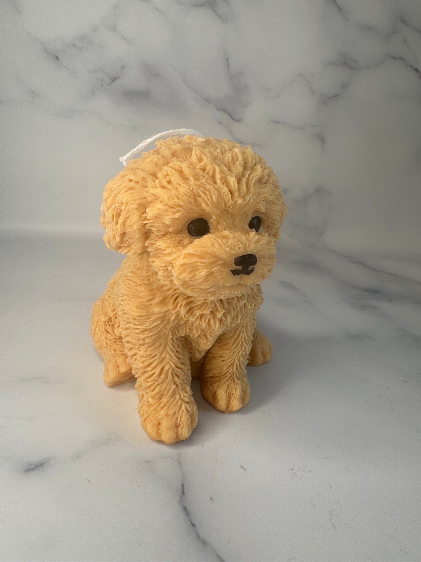 Wally Puppy Candle