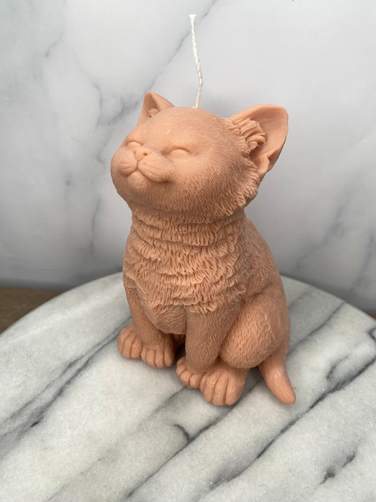 Cat Candle