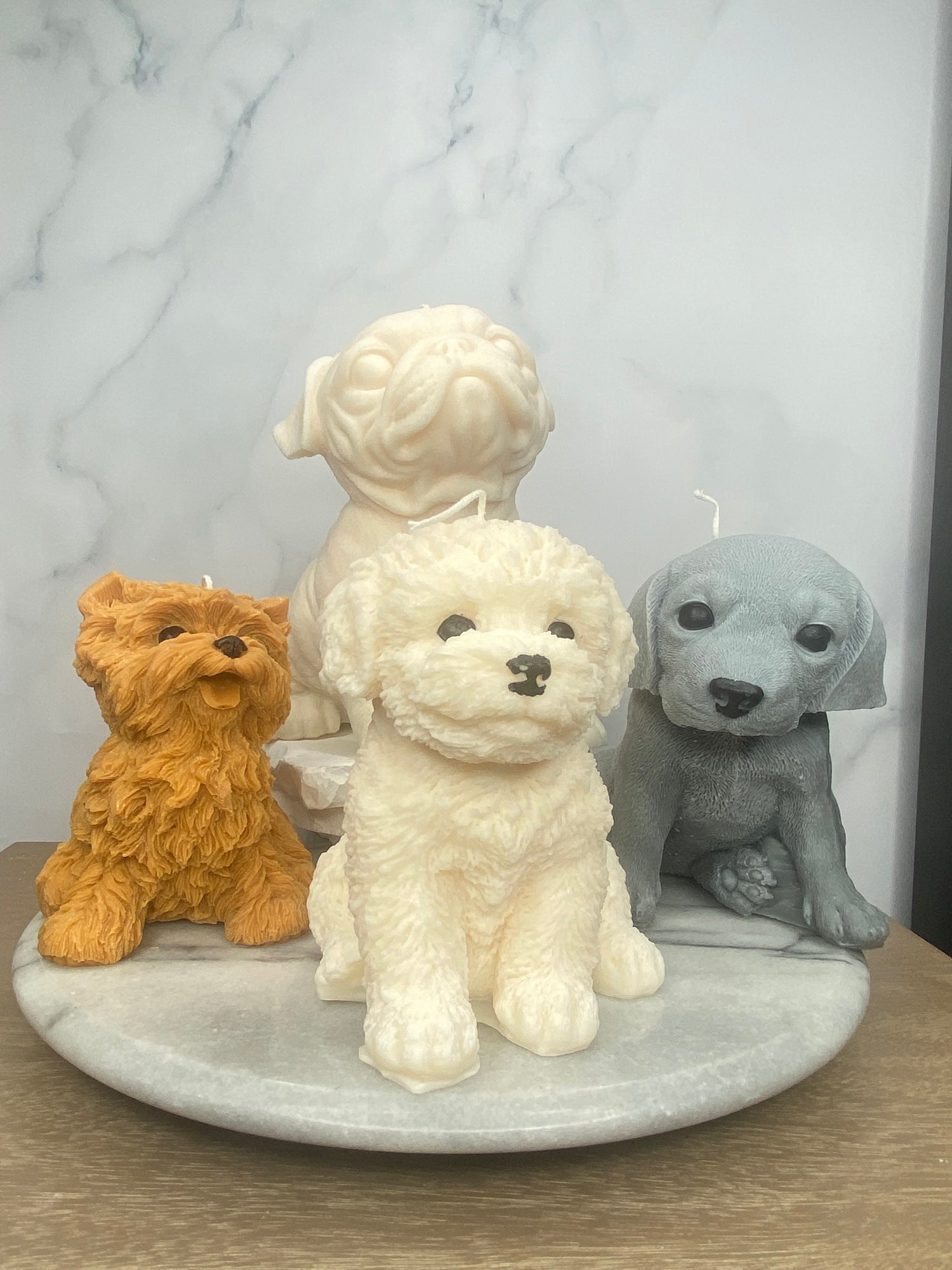 Pupps and Pals Collection