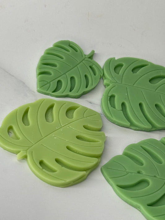 Monstera Wax melt