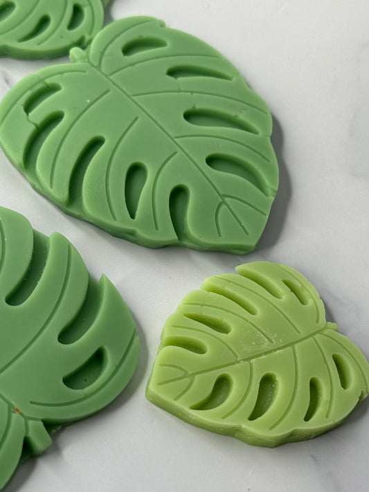 Monstera Wax melt