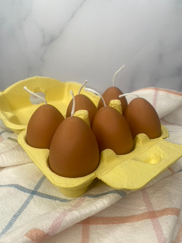 Egg Carton